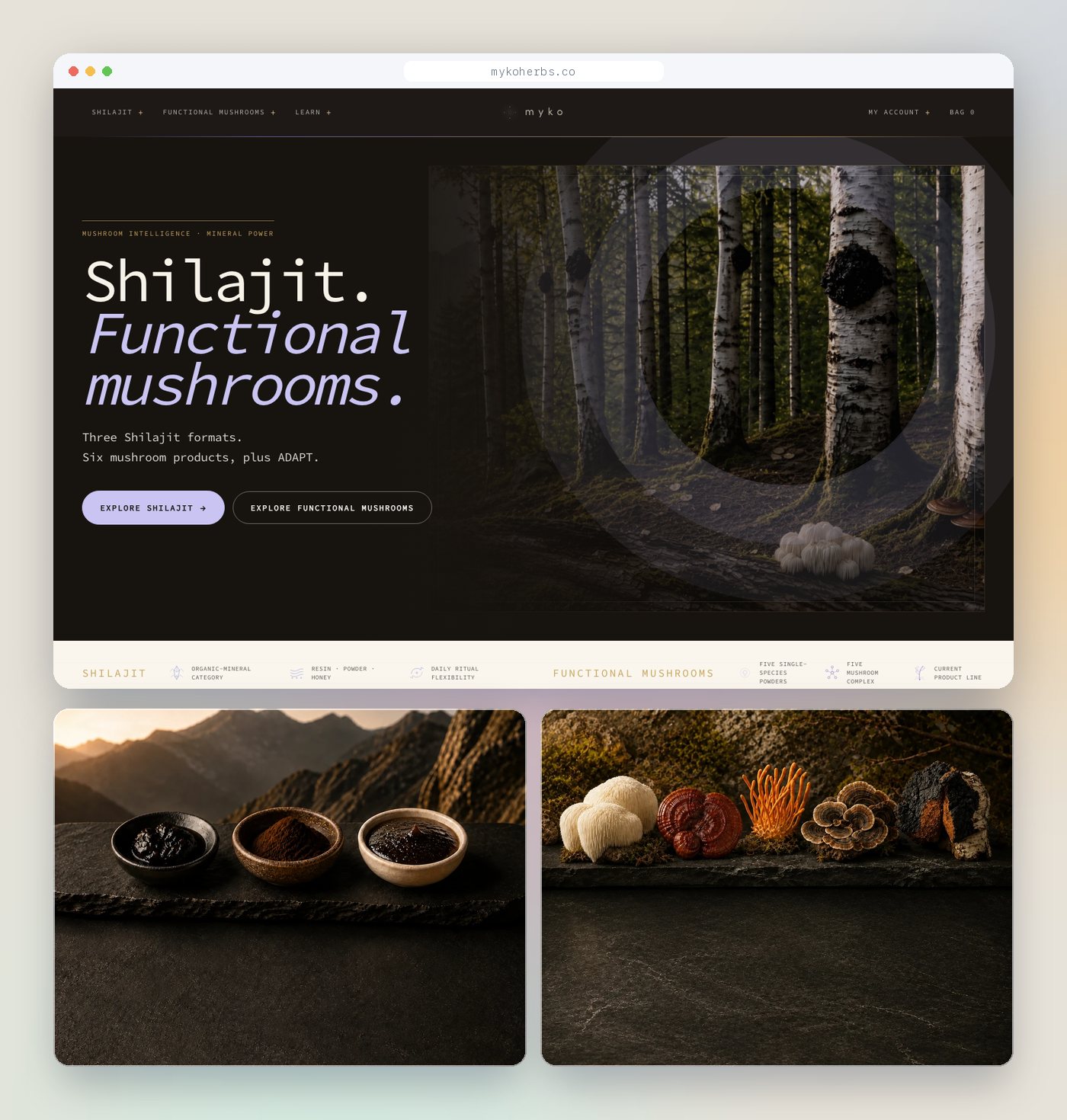 MYKO: Mushroom intelligence. Mineral power.