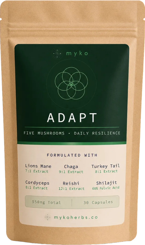 MYKO: Mushroom intelligence. Mineral power.