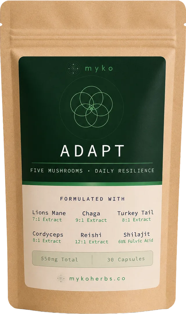 MYKO Adapt